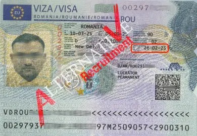 DINESH PASI - Finance 02_70_11zon