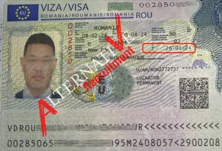 rokka min - Finance. Alternative Recruitment_34_11zon